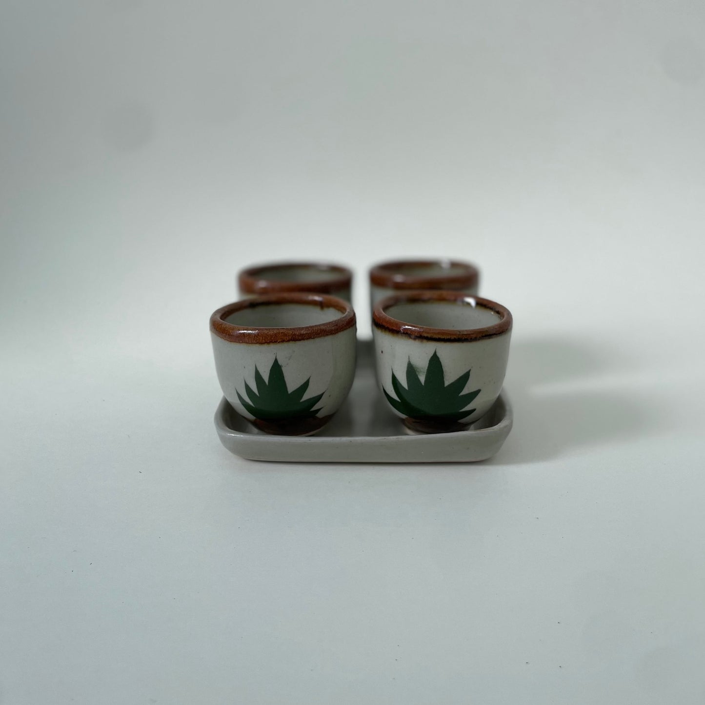 5-Piece Cactus Drink Set