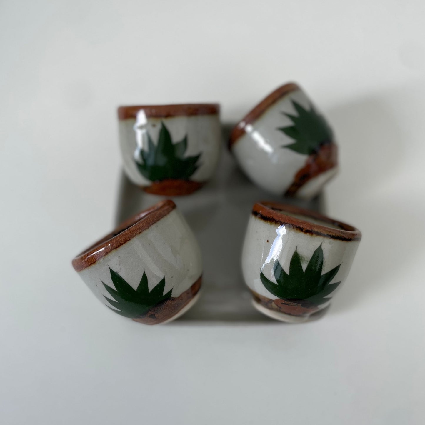 5-Piece Cactus Drink Set