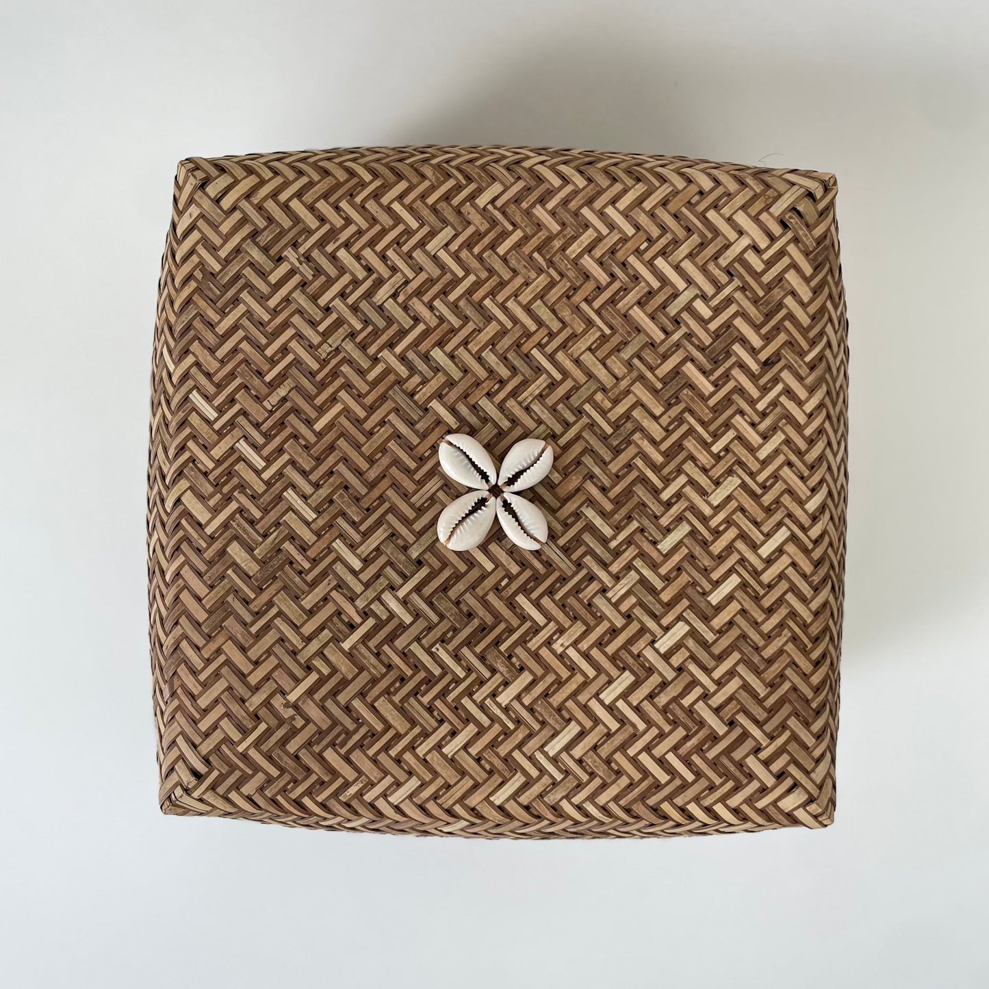 Large Seashells and Raffia Box
