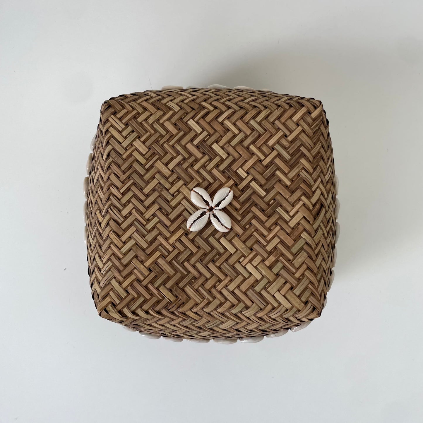 Medium Seashells and Raffia Box