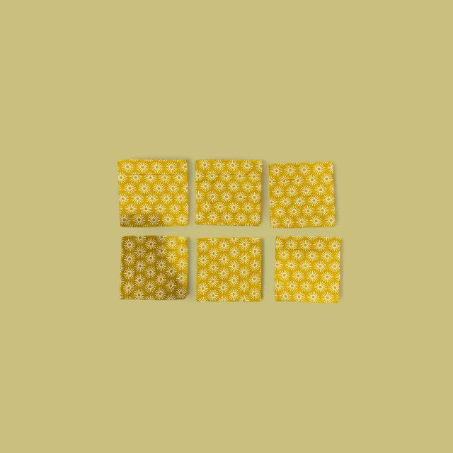 Sunshine Coasters Set of 6