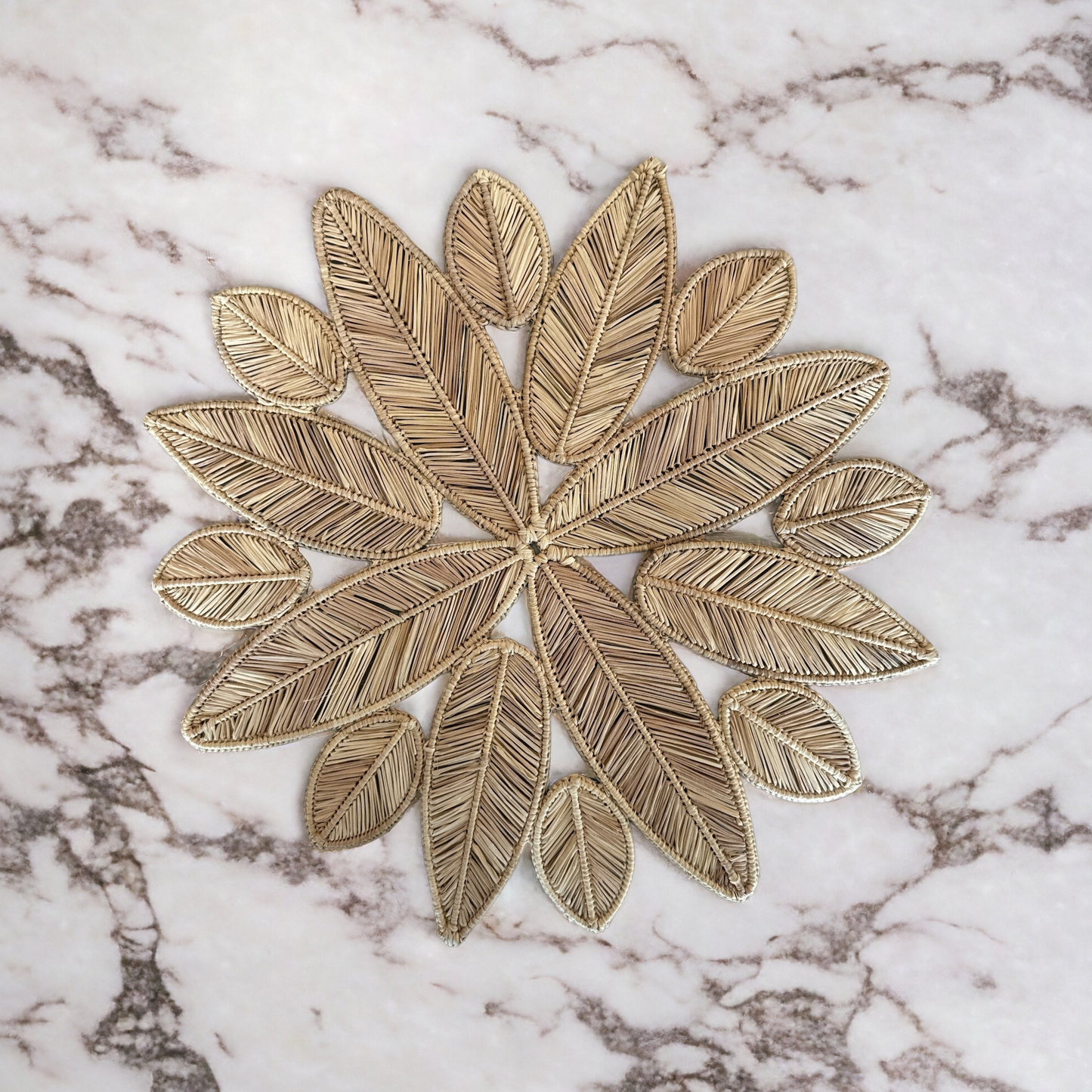 Raffia Placemats Set of 4