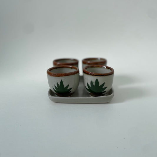 5-Piece Cactus Drink Set