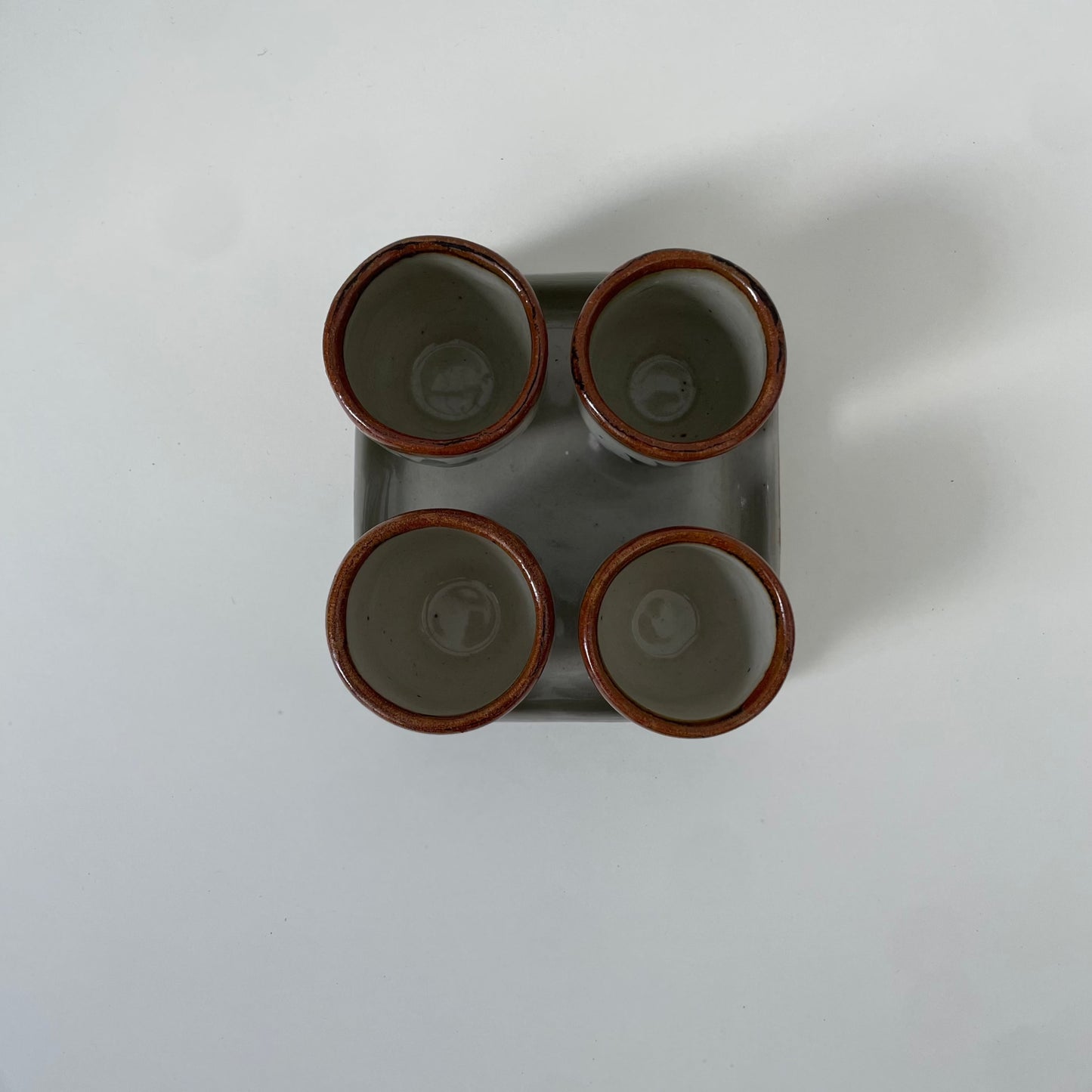 5-Piece Cactus Drink Set