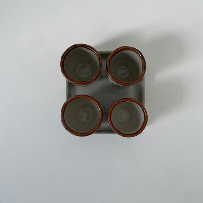 5-Piece Cactus Drink Set