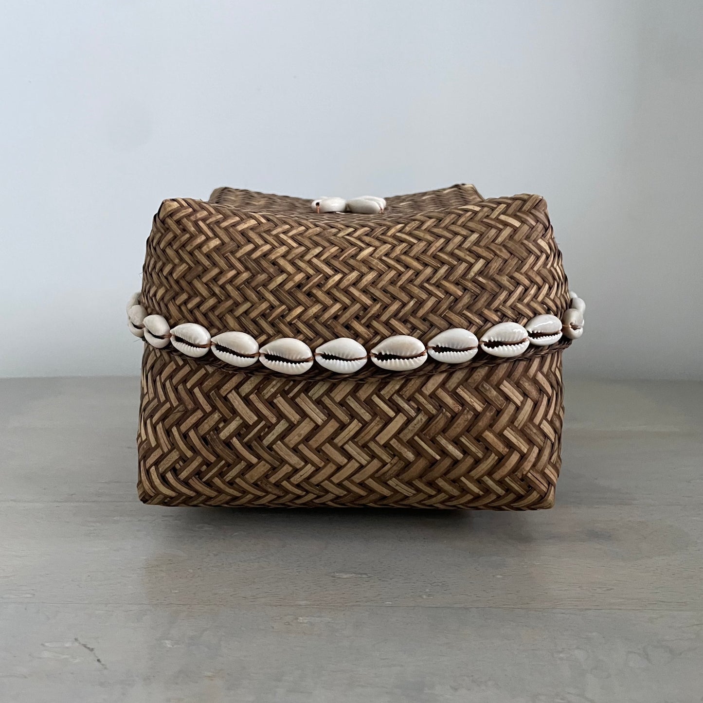 Small Seashells and Raffia Box